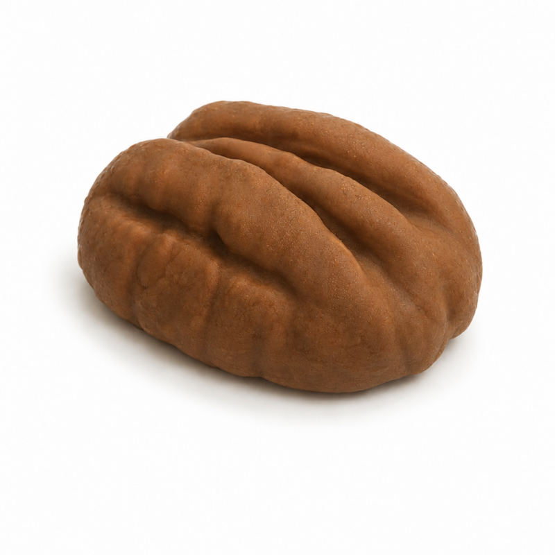 Noce Pecan
